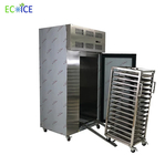 IQF Freezer Tunnel Small Blast Chiller Small Plate Freezer Refrigeration Equipment