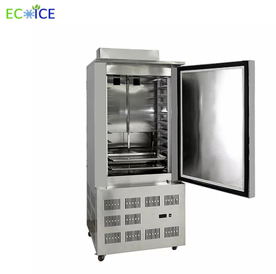 China Compact 300L Air Blast Freezer Cold Plate Freezer Deep Freezer Commercial with Trolleys supplier