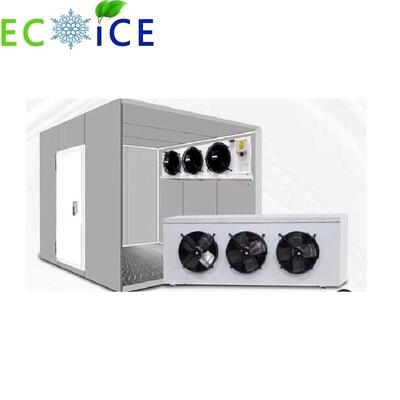 Cold Storage Room Freezing Room Cold Room Fruit and Vegetable Cold Storage Room Industrial Freezer Room