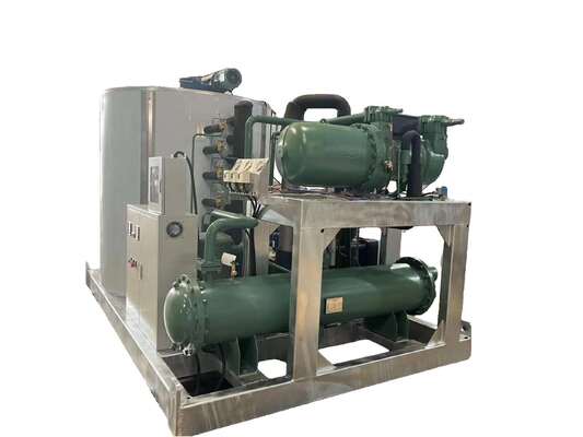 Ecoice  Stainless Steel Best Commercial Clear 3t Ice Maker Ice Flake Makers Machine for Food and Beverage