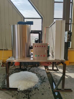 Ecoice 3Ton/Day Stainless Steel Best Commercial Flake Ice Making Machine for Seafood & Fishery