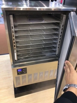 Commercial Fast Cooling Automatic 10 trays Blast Freezer for Fish