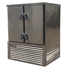 SS 304 material low temperature seafood blast freezer for fish