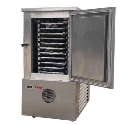 small blast freezer for chicken