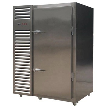 Commercial Fast Cooling Automatic 10 trays Blast Freezer for Fish