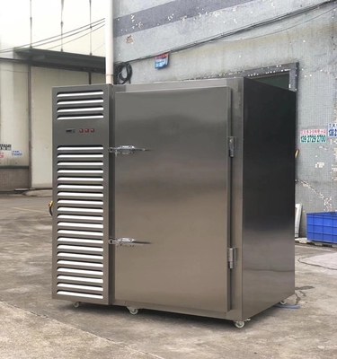 ltra low temperature 10 trays ss304 blast freezer