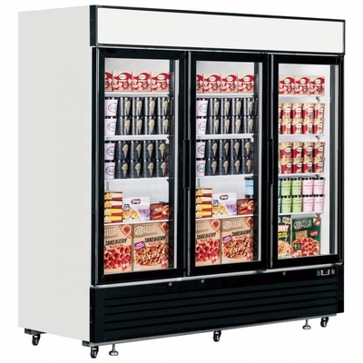 2 Door beverage display cooler with wheels