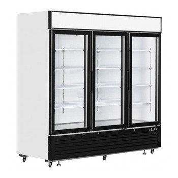 2 Door beverage display cooler with wheels