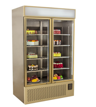 Upright Commercial Display Freezer Beverage Cooler