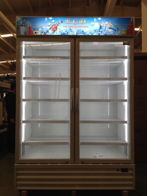 Upright Commercial Display Freezer Beverage Cooler