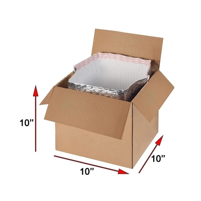 Moistureproof Insulated PE Box Liner/Cooler Bags Supplier