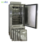 150L Deep Freezer Small Plate Freezer Small IQF Tunnel Freezer with Trays