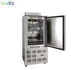 Ss 304 Material 4-6 Trays Low Temperature Seafood Blast Freezer for Fish