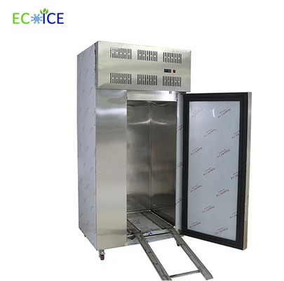 Ss 304 Material 4-6 Trays Low Temperature Seafood Blast Freezer for Fish