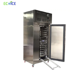Ss 304 Material 4-6 Trays Low Temperature Seafood Blast Freezer for Fish