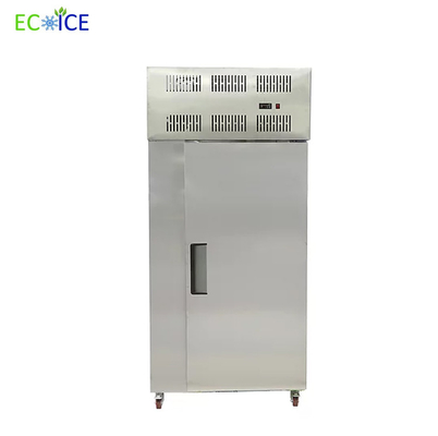 Hot Sale Commercial Fast Cooling Automatic 10 Trays Blast Freezer for Fish