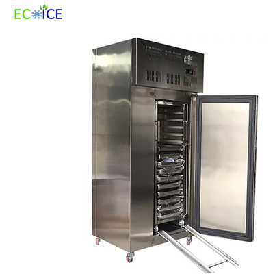 Hot Sale Commercial Fast Cooling Automatic 10 Trays Blast Freezer for Fish