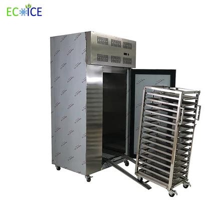 Hot Sale Commercial Fast Cooling Automatic 10 Trays Blast Freezer for Fish