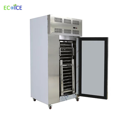 Hot Sale Commercial Fast Cooling Automatic 10 Trays Blast Freezer for Fish