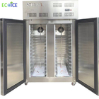 Hot Sale Commercial Fast Cooling Automatic Blast Freezer Cabinet with good quality for fish