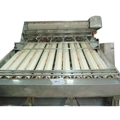 12 Rollers 18 Rollers Stainless steel 304 shrimp washing grading sorting machine