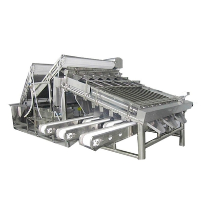 1Ton-5Ton Fish / Shrimp Grading Machine Shrimp/Fish Sorting Machine