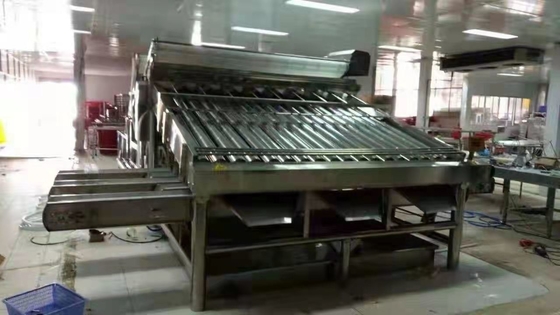 12 Rollers 18 Rollers Stainless steel 304 shrimp washing grading sorting machine