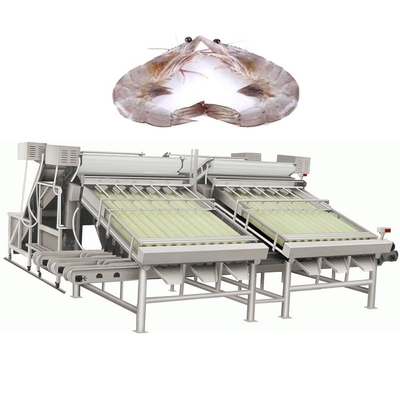 Automatic Industrial Shrimp Grading Machines