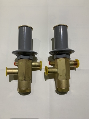 Automatic Expansion Valve Freezing And Refrigeration