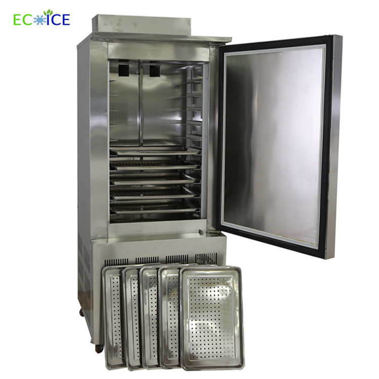 Cooling Quickly Refrigerator Chiller Equipment Deep Freezer for Meat
