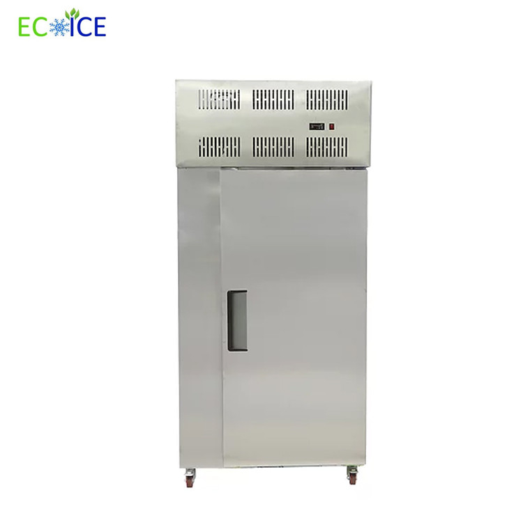 Hot Sale Commercial Fast Cooling Automatic 300 L Blast Freezer for Fish Blast Freezing Machin with good quality for fish