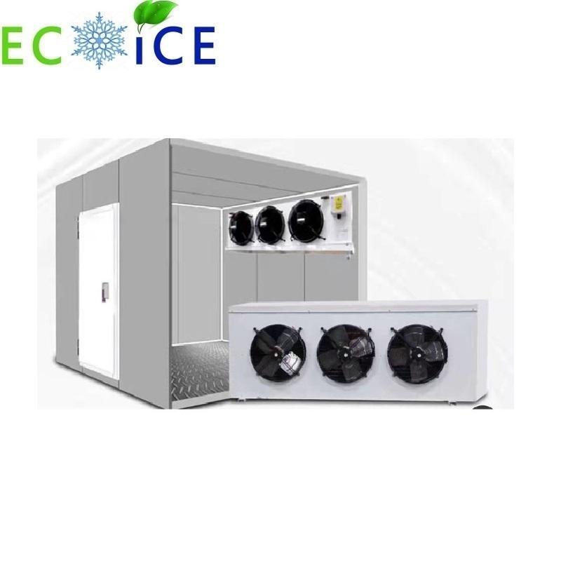 Freezing Room Meat Cold Storage Room Cigar Cold Room Vegetable Cold ...