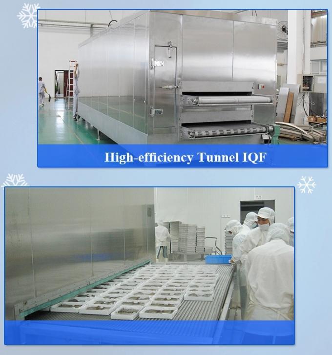 Blast Freezer For Sea Food Fish Processing